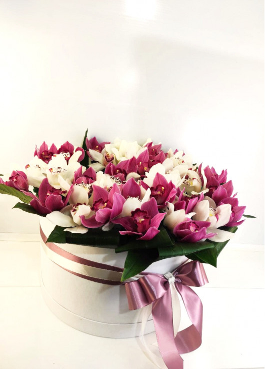 LUXURY ORCHIDS