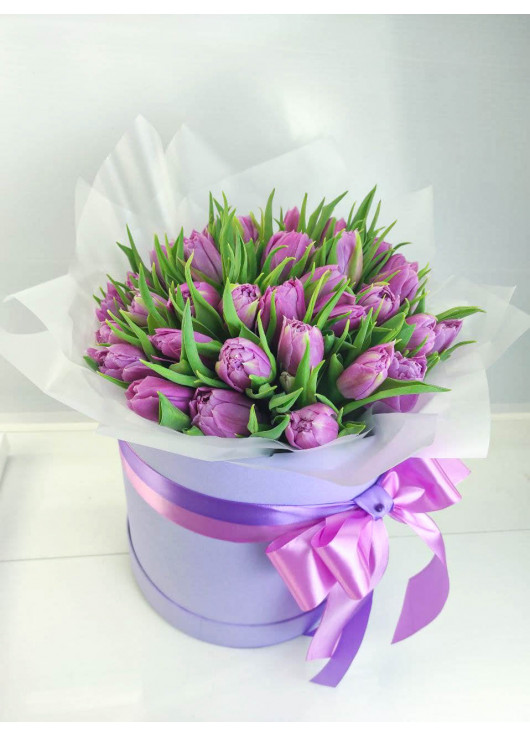 Фиолетовый  тюльпан в коробке