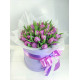 Фиолетовый  тюльпан в коробке