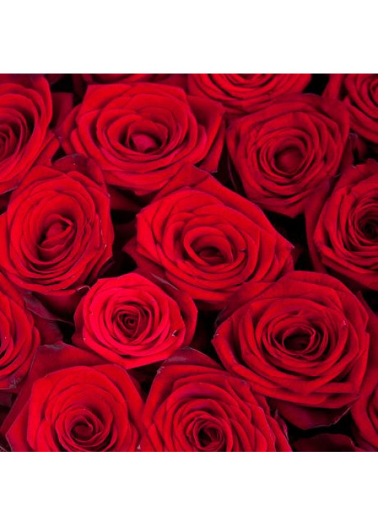 Красные розы в коробке сердце