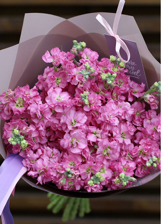 Букет розовой маттиоллы