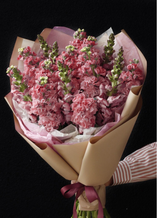 Букет розовой маттиоллы