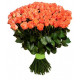 101 оранжево-персиковая роза