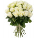 Белые розы Премиум
