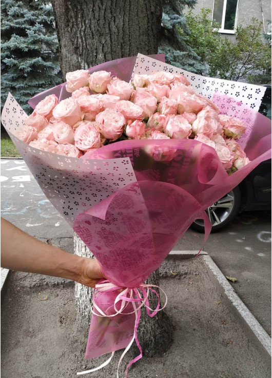 Розовая кустовая роза Днепр