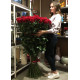 Гигантские розы 150 см