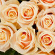 Бисквит 51 роза