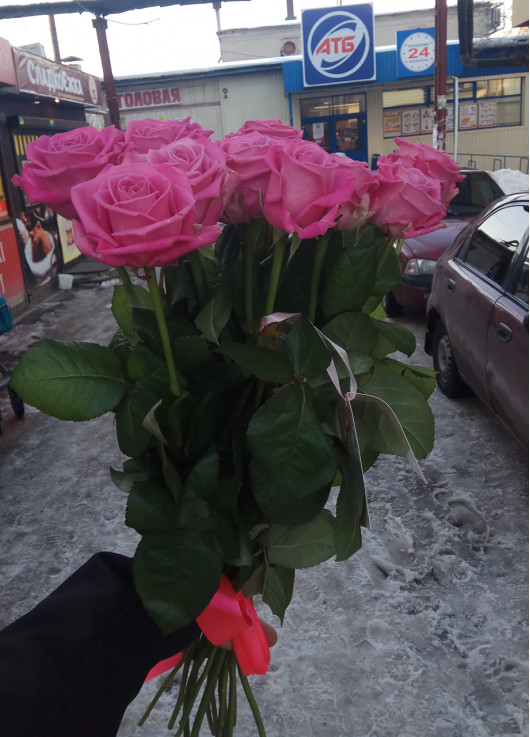 Розовые розы Днепр