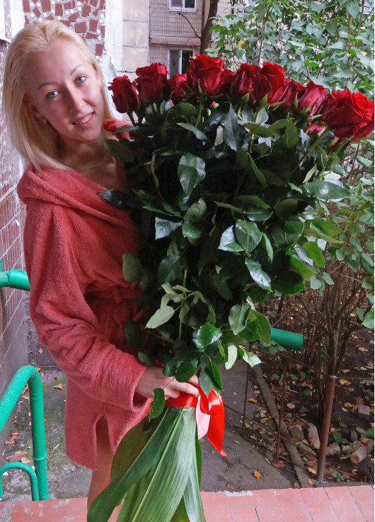 Голландские метровые розы  25 шт.