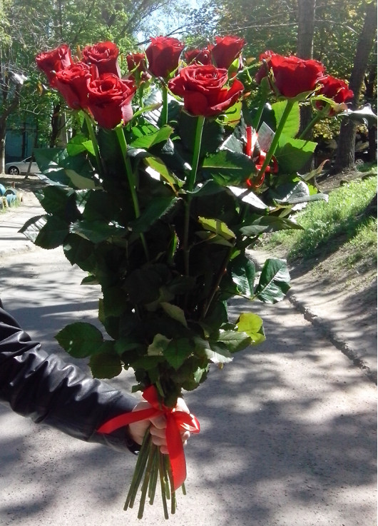 Красные Розы Днепр поштучно