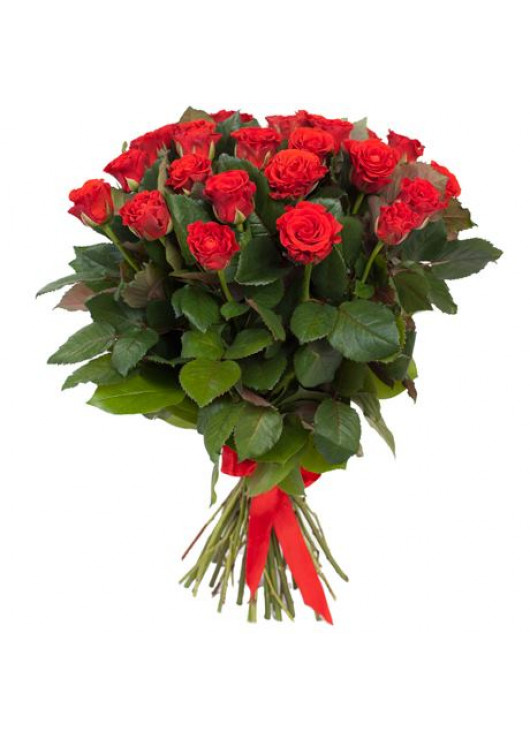 Красные розы Эль-тора 19шт.