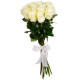 Белые розы букет "Снежок"