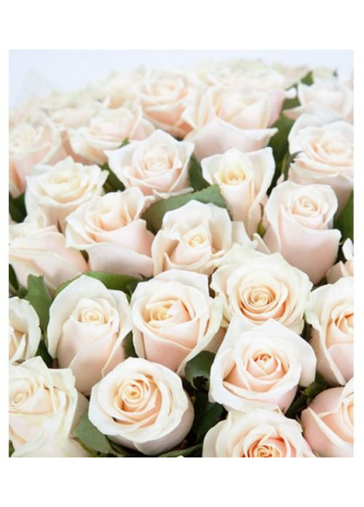 Кремовые розы "Жемчуг"