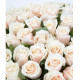 Кремовые розы "Жемчуг"