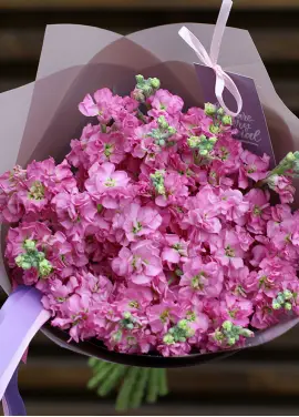 Букет розовой маттиоллы