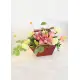 Микс в корзине - шестиграннике Микс в корзине - шестиграннике