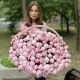 Люкс корзина 201 пион! Люкс корзина 201 пион!