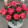 Пионы в корзинке