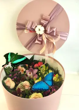 Коробка с бабочками и цветами