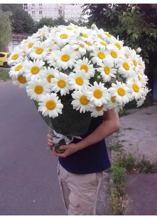 101 отборная ромашка! 101 отборная ромашка!