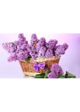 Корзинка сирени "Весеннее чувство"