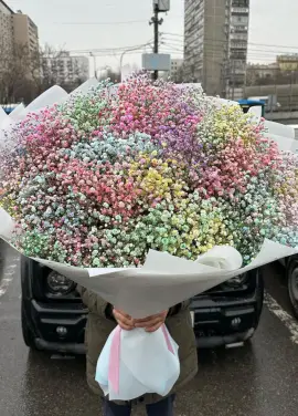 Радуга: цветная гипсофила в Днепре