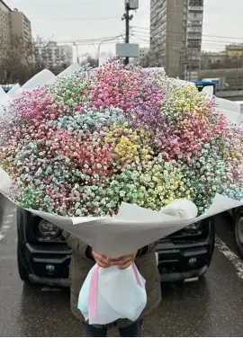 Радуга: цветная гипсофила в Днепре