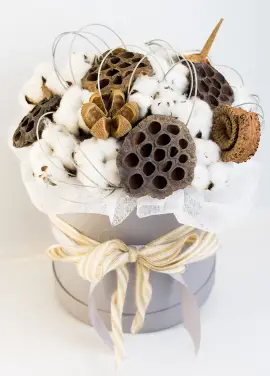 Хлопок и лотос в коробке ХИТ!
