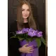 Орхидеи Ванда в коробке Орхидеи Ванда в коробке