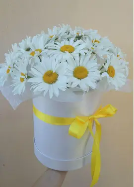 Шляпная коробка с ромашками