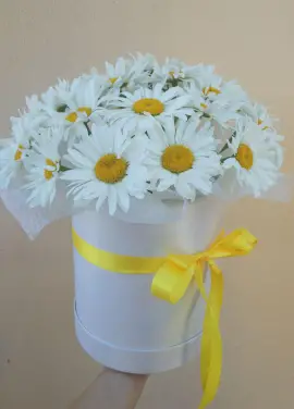Шляпная коробка с ромашками