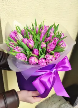 Фиолетовый  тюльпан в коробке
