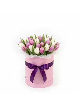 25 нежных тюльпанов в коробке (импорт, Голландия)