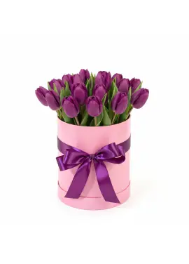 25 фиолетовых тюльпанов в коробке (импорт, Голландия)