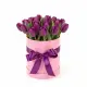 25 фиолетовых тюльпанов в коробке (импорт, Голландия)