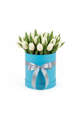 25 белых тюльпанов в коробке (импорт, Голландия)