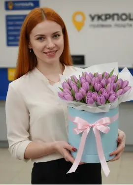 51 сиреневых тюльпанов в коробке (импорт, Голландия)