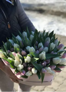 51 тюльпан - сердце 