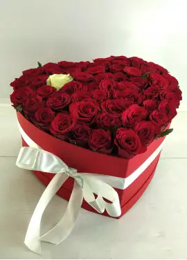 Мое сердце для единственной 