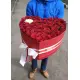 Мое сердце для единственной Мое сердце для единственной