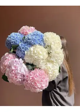 Букет из 11 гортензий микс