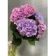Букет из 5 гортензий микс