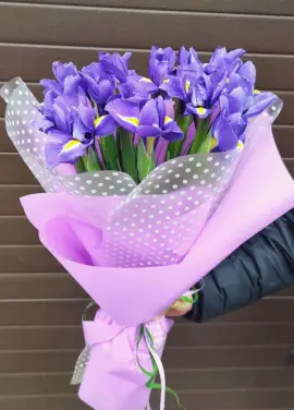 19 ирисов "Днепр" АКЦИЯ 3 ДНЯ!!!