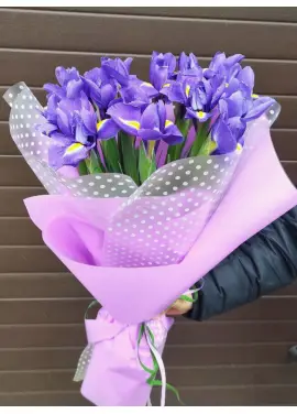 19 ирисов "Днепр" АКЦИЯ 3 ДНЯ!!!