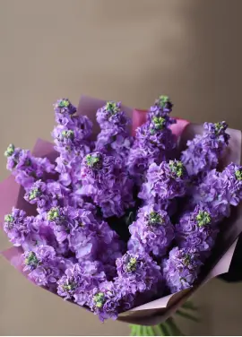 Букет фиолетовой маттиоллы