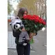 75 шикарных красных роз 75 шикарных красных роз