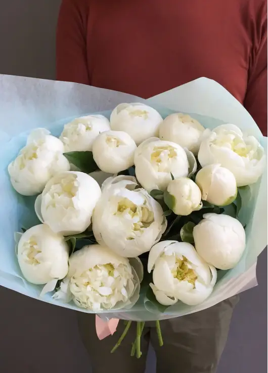 Белые пионы, букет в Днепре Белые пионы, букет в Днепре