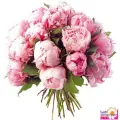 Розовые пионы