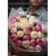 Букет из 25 местных пионов