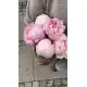 Букет из 5 розовых пионов